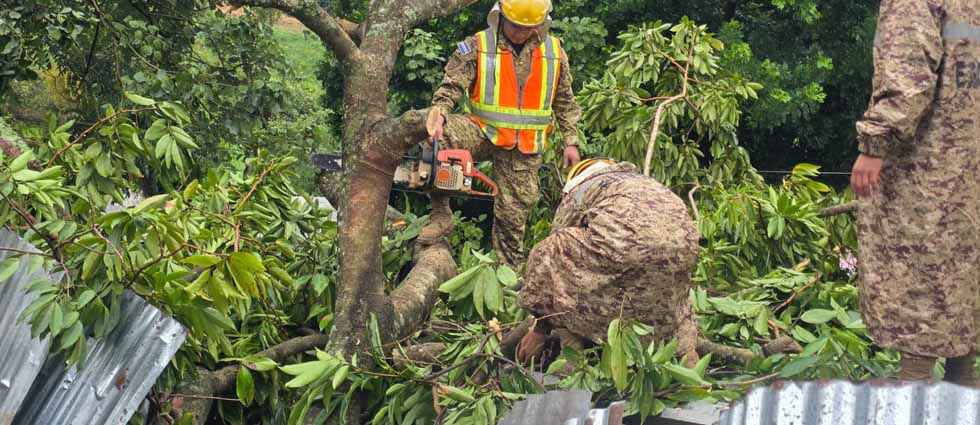 Cabañas: militares remueven árbol tras caer sobre una vivienda a raíz de los fortísimos vientos