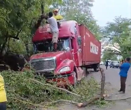 Árbol cae sobre rastra en el desvío a La Estancia, San Miguel