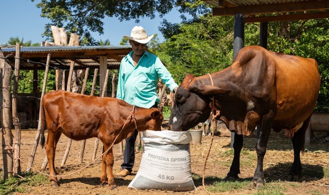 MAG extiende distribución de concentrado lechero a precio preferencial en Usulután