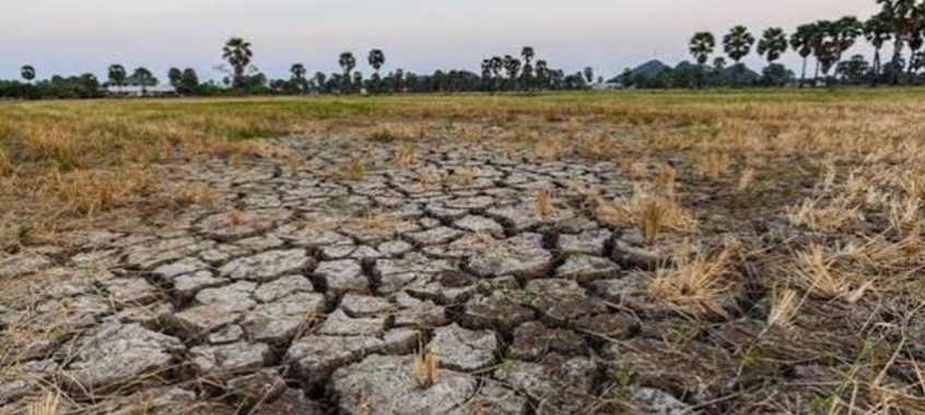 Declaran Alerta Naranja en Guatemala por la pérdida de cultivos debido al fenómeno El Niño