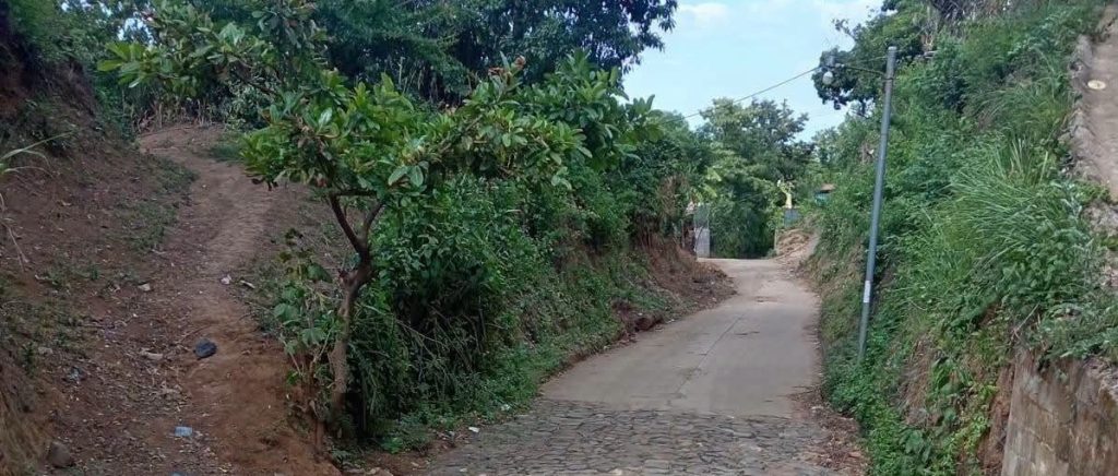 Denuncian que les están dando “bocado” a los perritos en el cantón Yomo, Alegría, Usulután