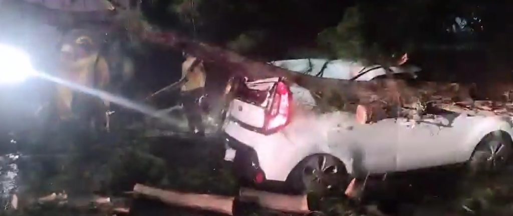 Rescatan a siete personas atrapadas en sus vehículos bajo árbol caído en la Atlacatl