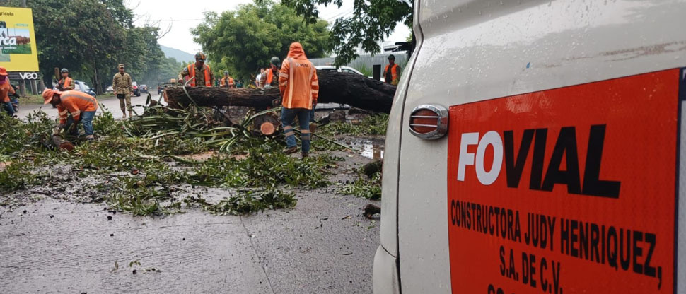 Remueven árbol caído en San Juan Opico