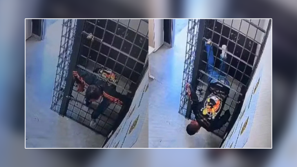 De película: delincuente logra escabullirse entre los barrotes de una celda en Brasil