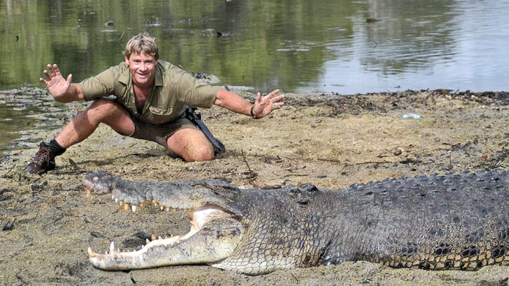 Se cumplen 20 años del fallecimiento de Steve Irwin, “el cazador de cocodrilos”