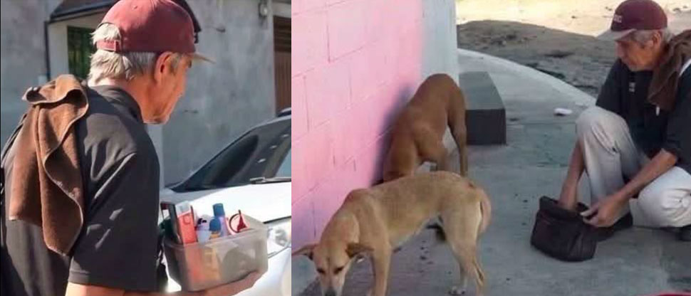 Anciano vende dulces y con lo poco que gana compra alimentos para perritos de la calle