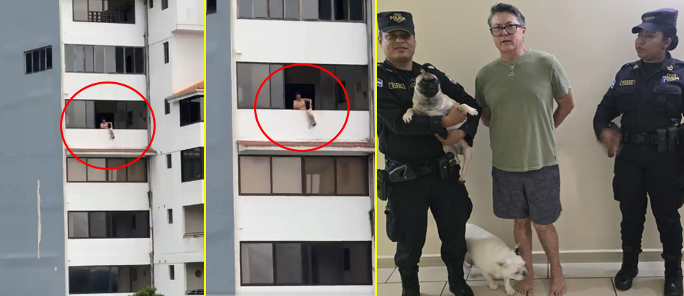 PNC arresta a hombre tras colgar de una pata a su perro desde el balcón de su apartamento