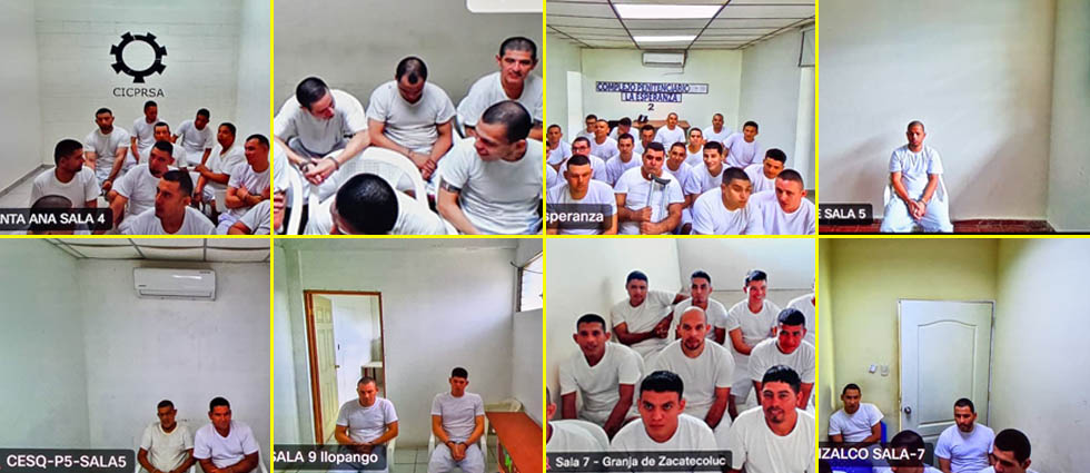 Hasta 565 años de cárcel para 116 terroristas de la MS-13 capturados durante el Régimen de Excepción