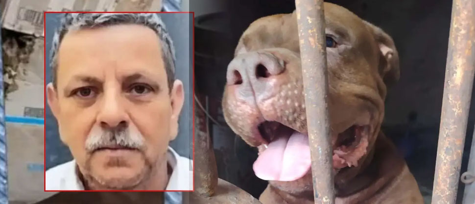 Identifican a hombre que falleció al ser atacado por su perro pitbull en Tegucigalpa