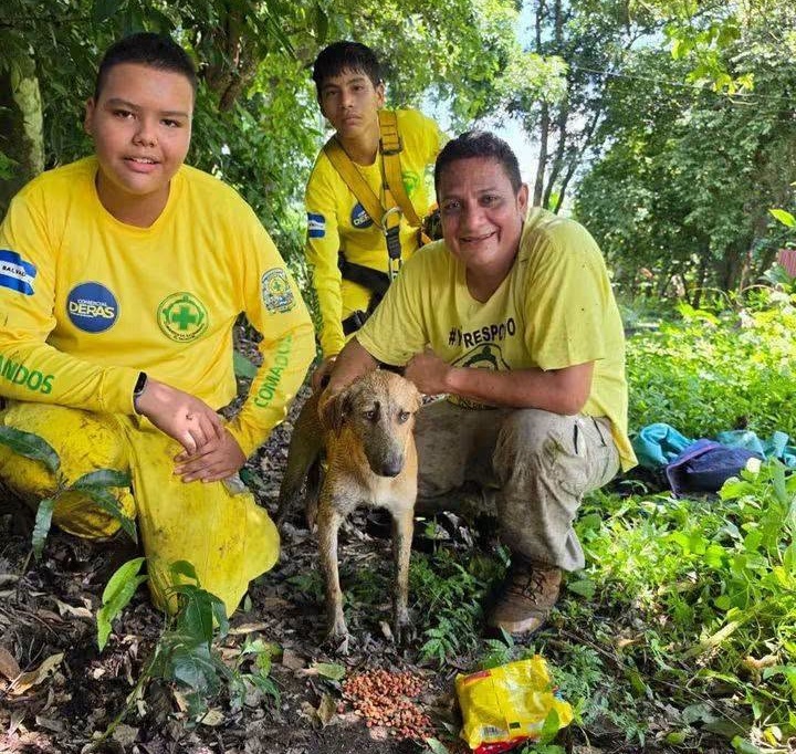 Rescatan a perrito que desde hace 4 días permanecía atrapado dentro de una fosa en Nejapa