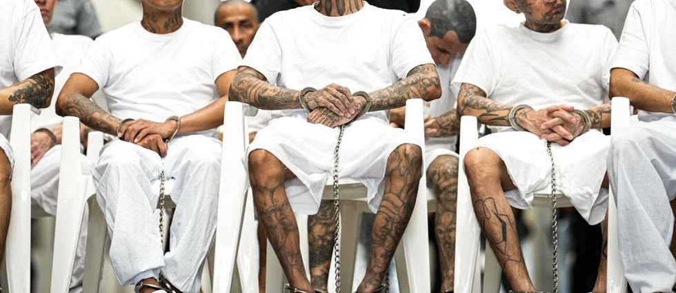 Cadena perpetua para cinco terroristas de la MS-13 que operaban en San Miguel