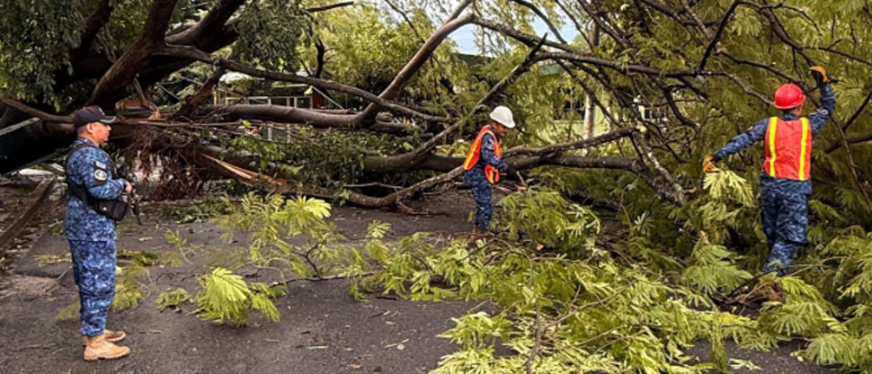 Elementos militares remueven árbol caído en San Luis Talpa