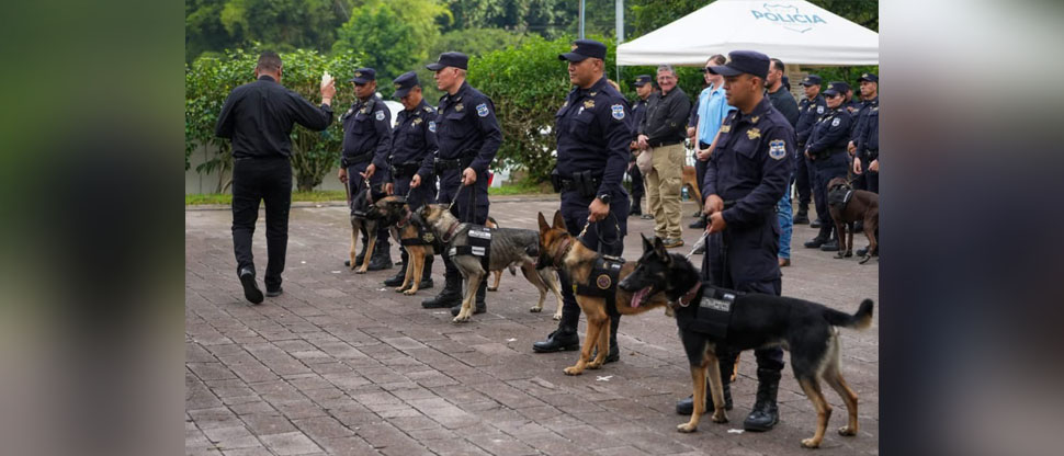 Incorporan seis nuevos cachorros a la Unidad Canina de la PNC