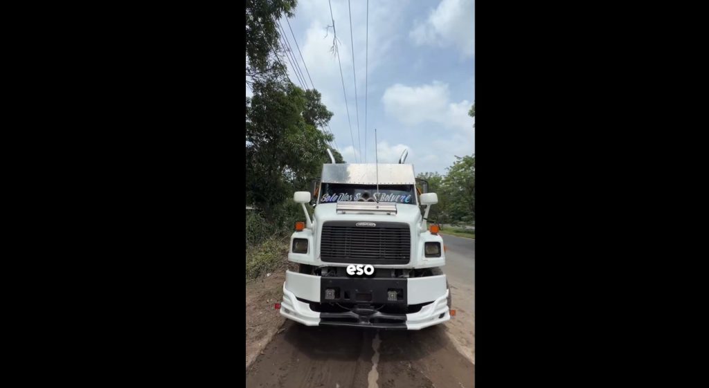 Control en carretera: Decomisan camión cuyo motorista no posee licencia de conducir