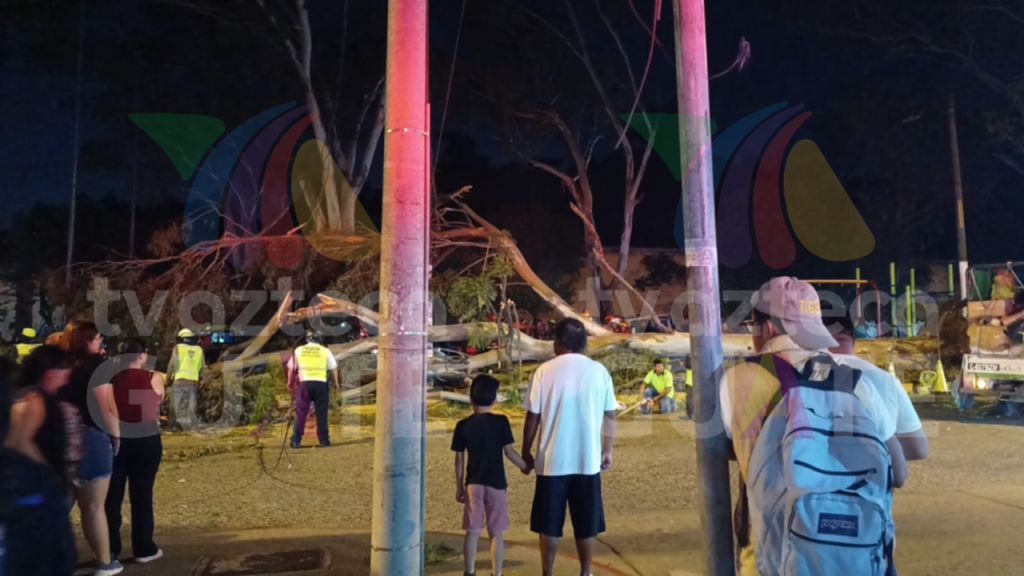 Árbol se desploma y cae sobre personas que practicaban zumba en una plaza pública