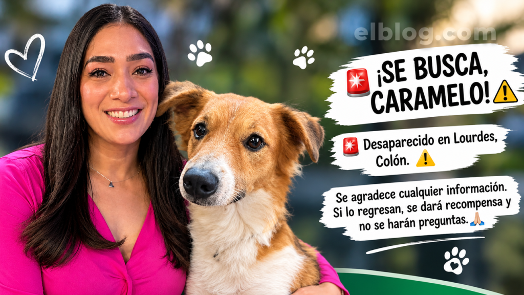 Periodista de deportes pide ayuda para localizar a su perrito, “Caramelo”