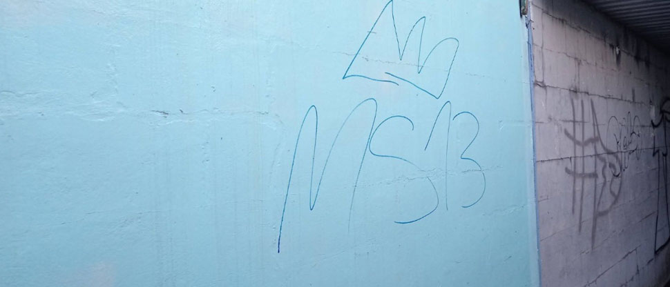 Denuncian a supuestos estudiantes que hicieron grafitis alusivos a pandillas en Ciudad Futura