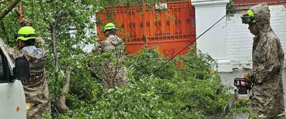 Soldados retiran árbol caído en San Salvador