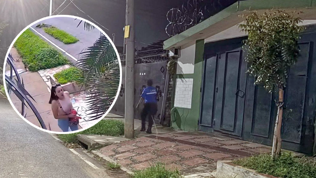 Ya tienen ubicada a la mujer que arrojó cuatro gatitos en una calle de Santa Ana